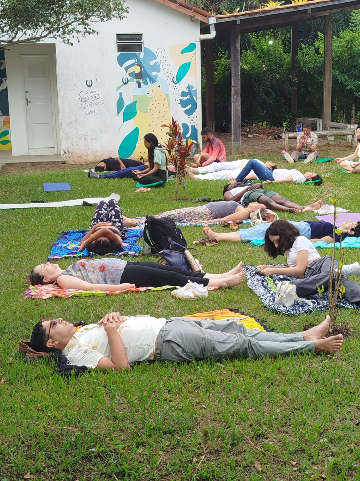 Meditação Coletiva